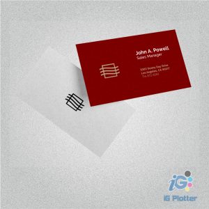 CARTÃO DE VISITA 1.000 UND COUCHÊ 300G 9X5 FRENTE COLORIDA VERSO PRETO E BRANCO VERNIZ TOTAL FRENTE CORTE RETO a criação da arte não está incluso uma logo